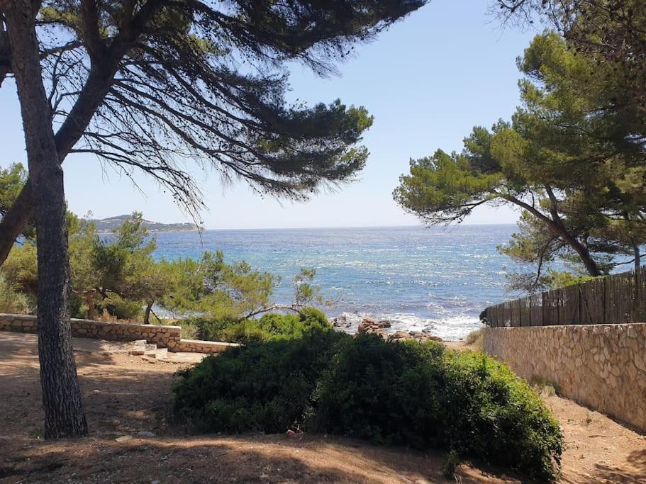 Les Geraniums, Bel Appartement Renove, Proche Plage Et Commerces La Seyne-sur-Mer Exteriér fotografie