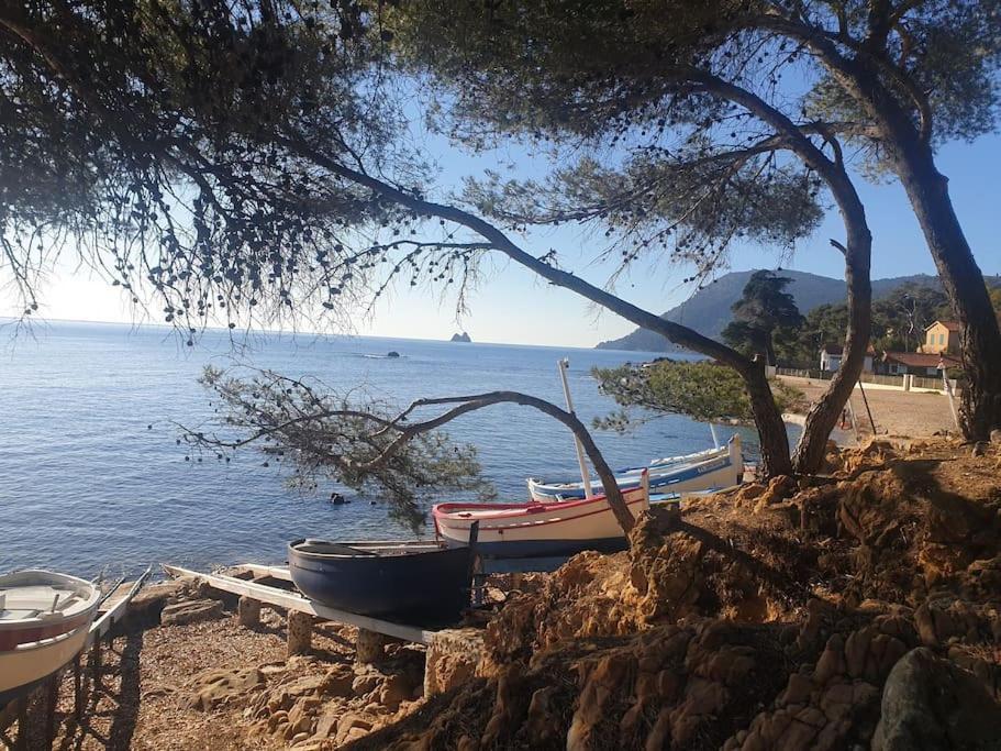 Les Geraniums, Bel Appartement Renove, Proche Plage Et Commerces La Seyne-sur-Mer Exteriér fotografie